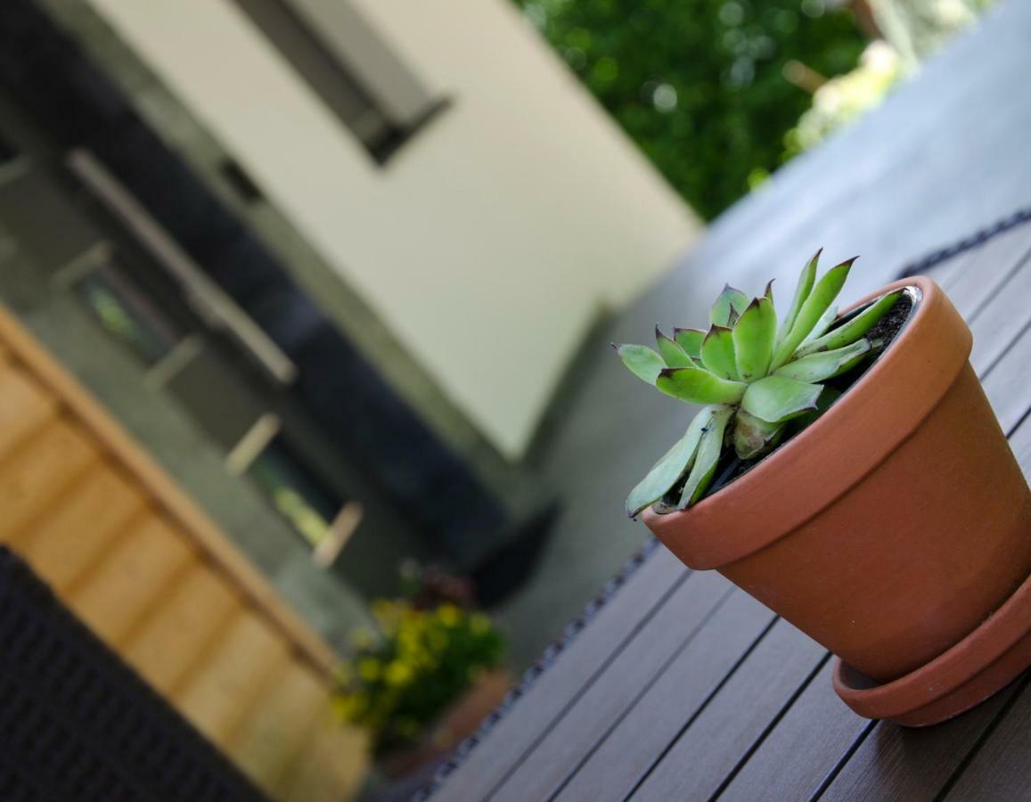 Apartmaji Rajska Ptica Bled Buitenkant foto
